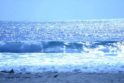 DSC_4999 (Large).JPG